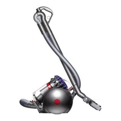 Dyson Big Ball Parquet 2 · Европа