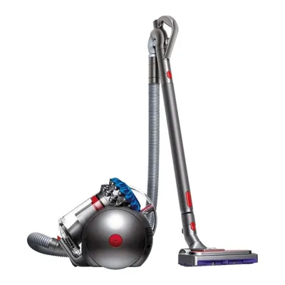 Dyson Big Ball Absolute 2 CY28 · Европа
