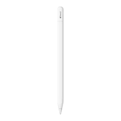 Apple Pencil (USB-C) для iPad Air