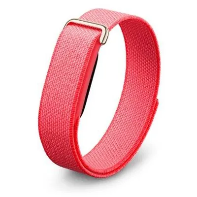 Google Fitbit Air