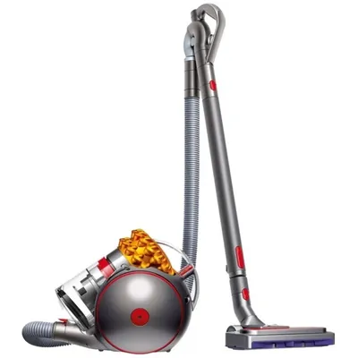 Dyson Big Ball Multifloor 2 · Европа