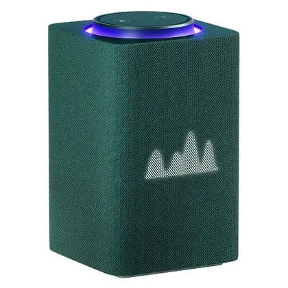 Яндекс Станция Макс 3.75 Zigbee — вид спереди